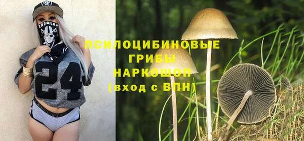 круглые Бронницы