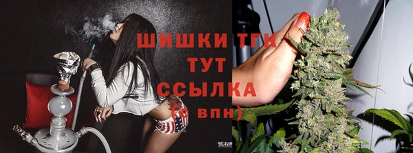 круглые Бронницы