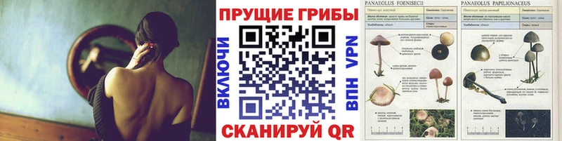 Галлюциногенные грибы GOLDEN TEACHER  Курск 